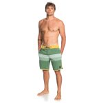 VISTA beachshort