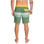 VISTA beachshort