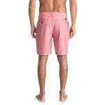 UNION PINSTRIPE AMPHIBIAN boardshort