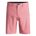 UNION PINSTRIPE AMPHIBIAN boardshort