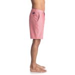 UNION PINSTRIPE AMPHIBIAN boardshort