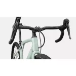 S-Works Diverge STR Comp 56 bike